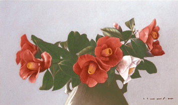 椿花